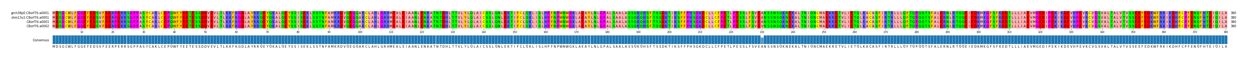 Multiple Alignments (by translate haplotype similarity)