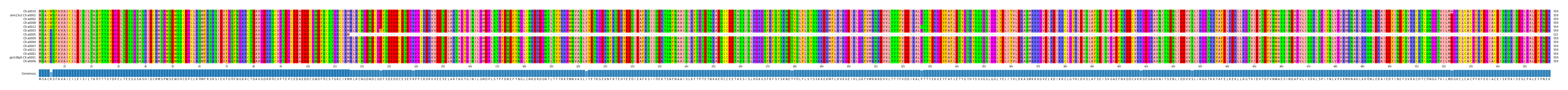 Multiple Alignments (by translate haplotype similarity)