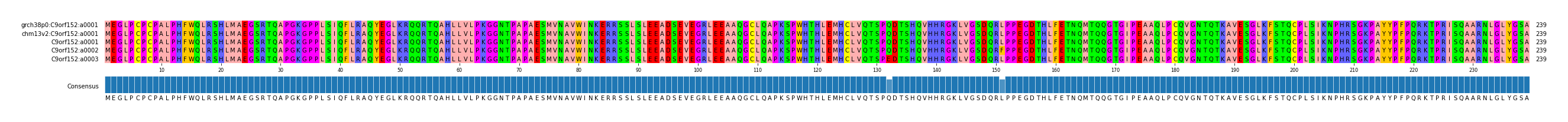 Multiple Alignments (by translate haplotype frequency)
