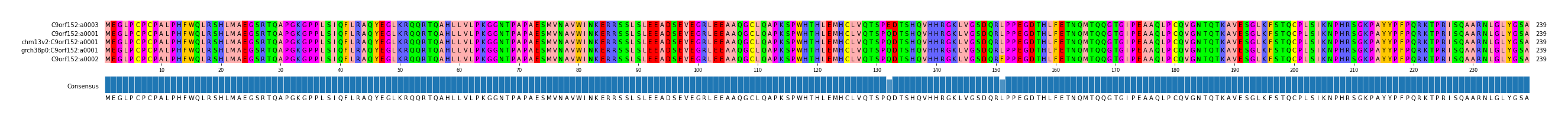 Multiple Alignments (by translate haplotype similarity)