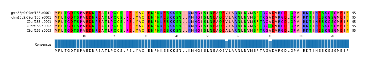 Multiple Alignments (by translate haplotype frequency)