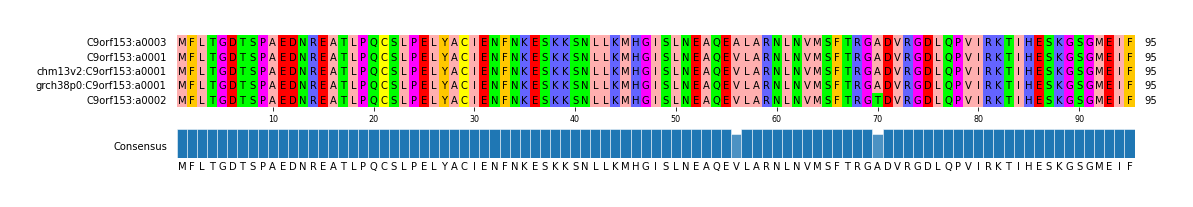Multiple Alignments (by translate haplotype similarity)