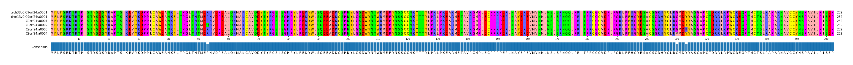 Multiple Alignments (by translate haplotype frequency)