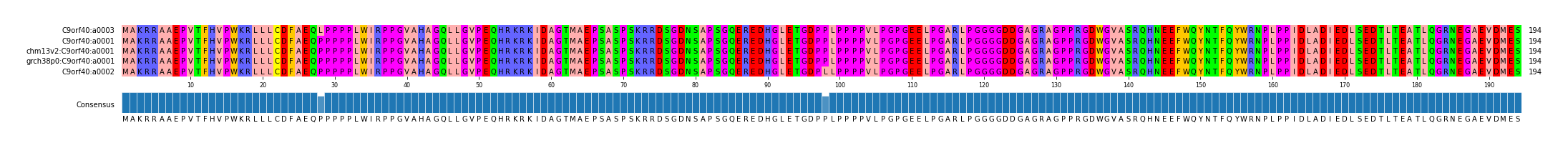 Multiple Alignments (by translate haplotype similarity)