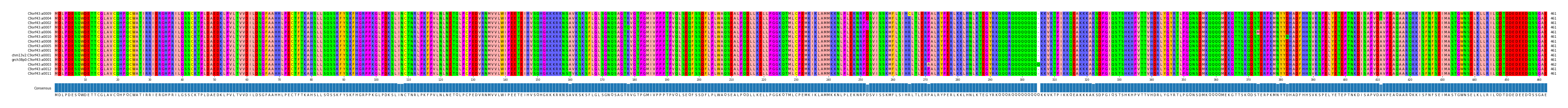 Multiple Alignments (by translate haplotype similarity)