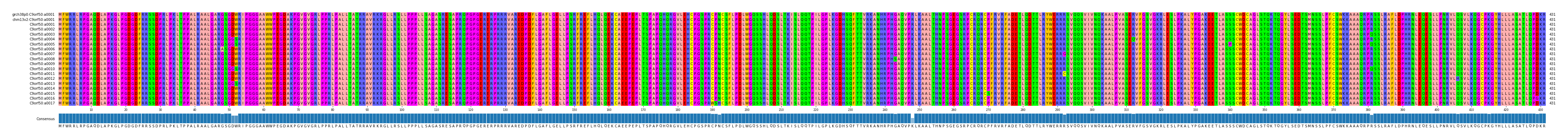 Multiple Alignments (by translate haplotype frequency)