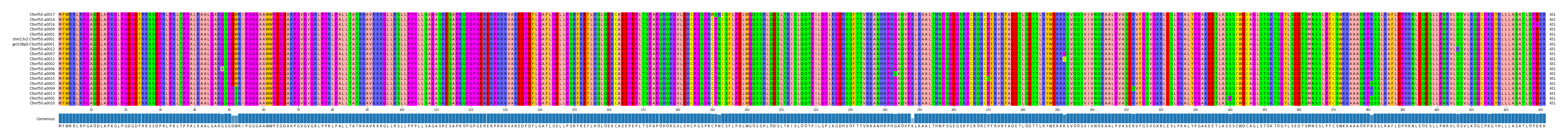 Multiple Alignments (by translate haplotype similarity)