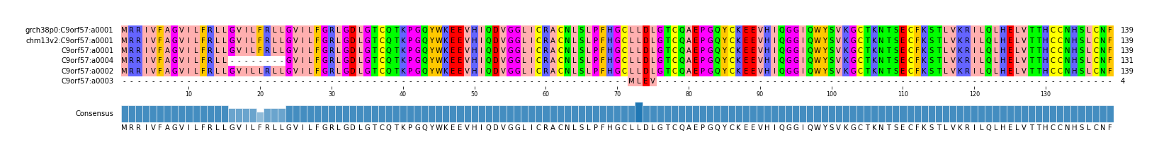 Multiple Alignments (by translate haplotype similarity)