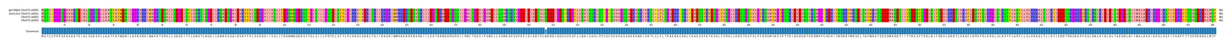 Multiple Alignments (by translate haplotype similarity)