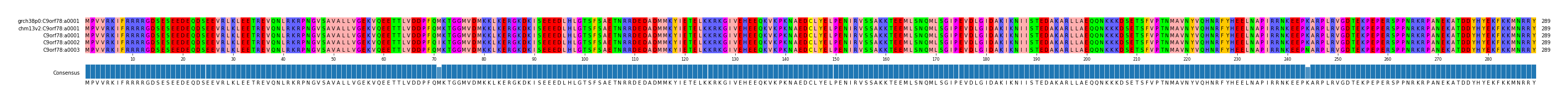 Multiple Alignments (by translate haplotype frequency)