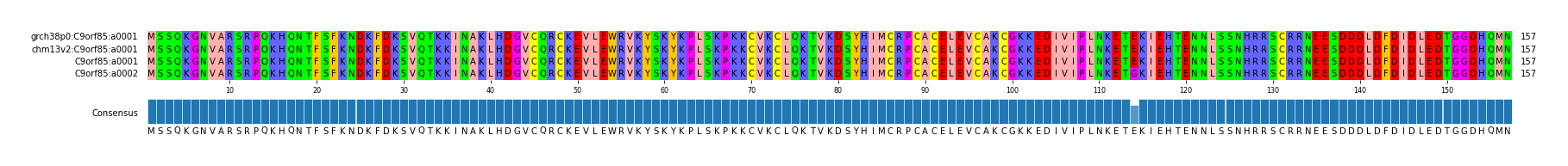 Multiple Alignments (by translate haplotype similarity)