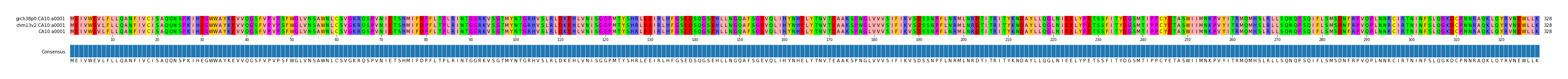 Multiple Alignments (by translate haplotype similarity)