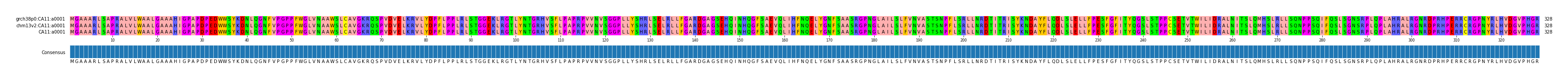 Multiple Alignments (by translate haplotype similarity)