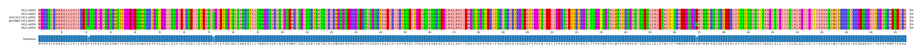 Multiple Alignments (by translate haplotype similarity)