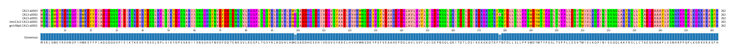 Multiple Alignments (by translate haplotype similarity)