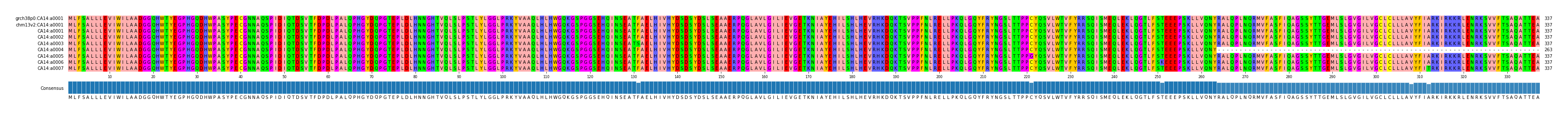 Multiple Alignments (by translate haplotype frequency)