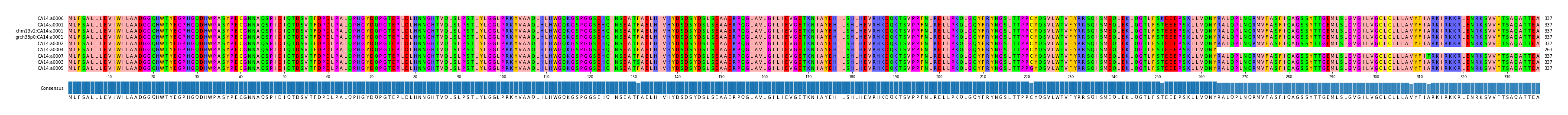 Multiple Alignments (by translate haplotype similarity)
