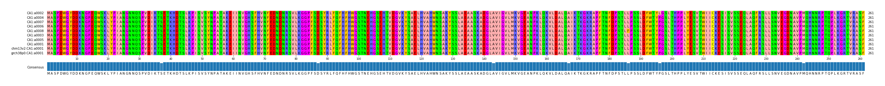 Multiple Alignments (by translate haplotype similarity)