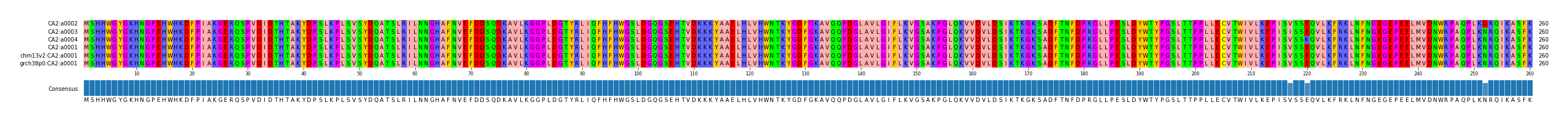 Multiple Alignments (by translate haplotype similarity)