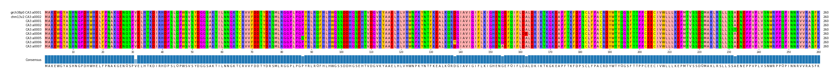 Multiple Alignments (by translate haplotype frequency)