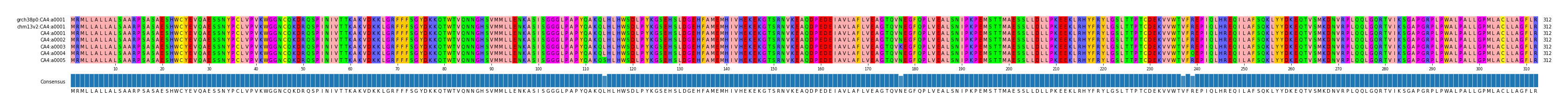 Multiple Alignments (by translate haplotype frequency)