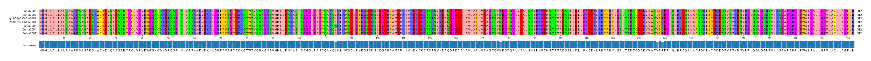 Multiple Alignments (by translate haplotype similarity)