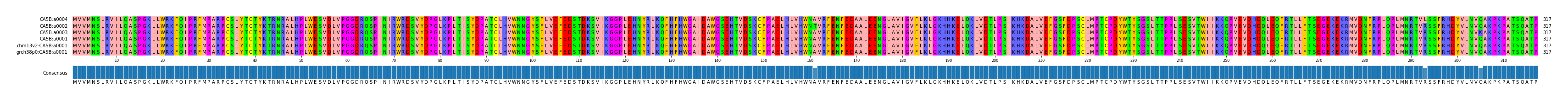 Multiple Alignments (by translate haplotype similarity)