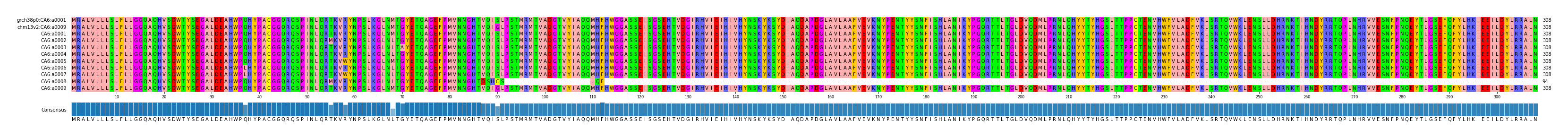 Multiple Alignments (by translate haplotype frequency)
