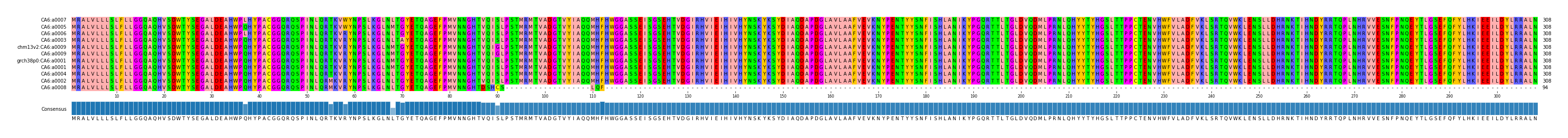 Multiple Alignments (by translate haplotype similarity)