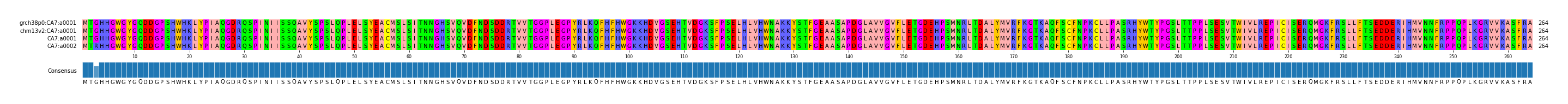 Multiple Alignments (by translate haplotype similarity)