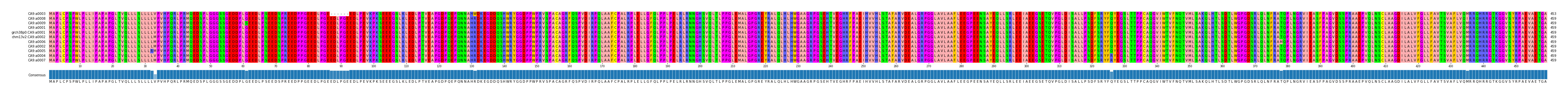 Multiple Alignments (by translate haplotype similarity)