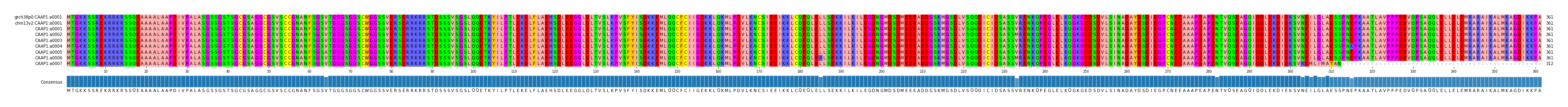 Multiple Alignments (by translate haplotype frequency)