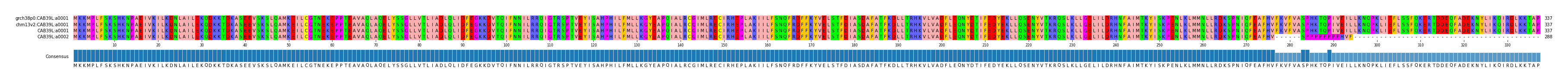 Multiple Alignments (by translate haplotype similarity)