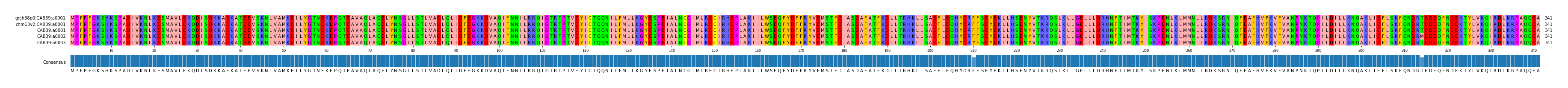 Multiple Alignments (by translate haplotype frequency)