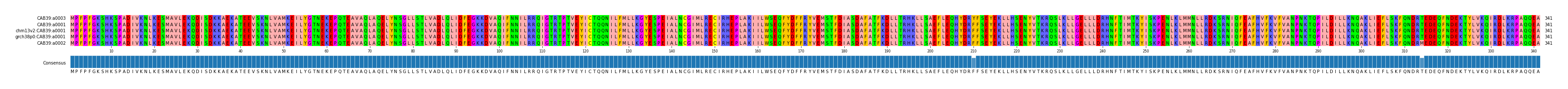 Multiple Alignments (by translate haplotype similarity)