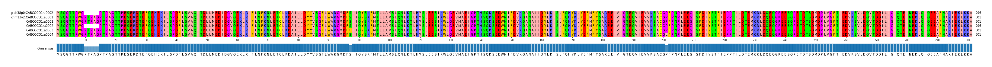 Multiple Alignments (by translate haplotype frequency)