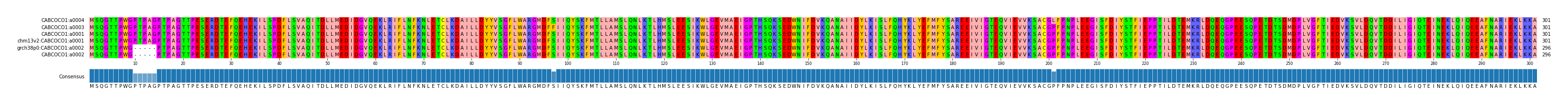 Multiple Alignments (by translate haplotype similarity)