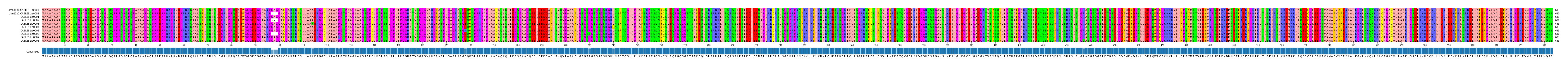 Multiple Alignments (by translate haplotype frequency)