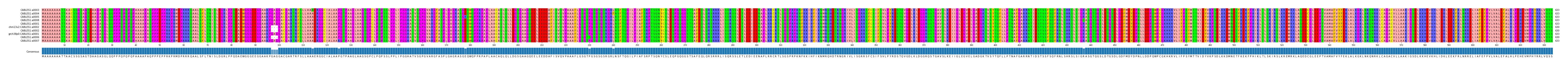 Multiple Alignments (by translate haplotype similarity)