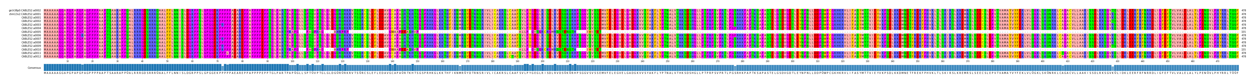 Multiple Alignments (by translate haplotype frequency)