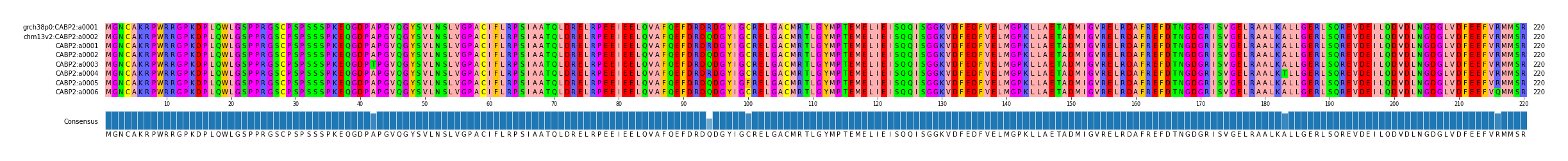 Multiple Alignments (by translate haplotype frequency)