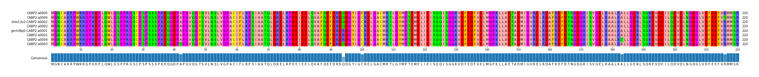 Multiple Alignments (by translate haplotype similarity)