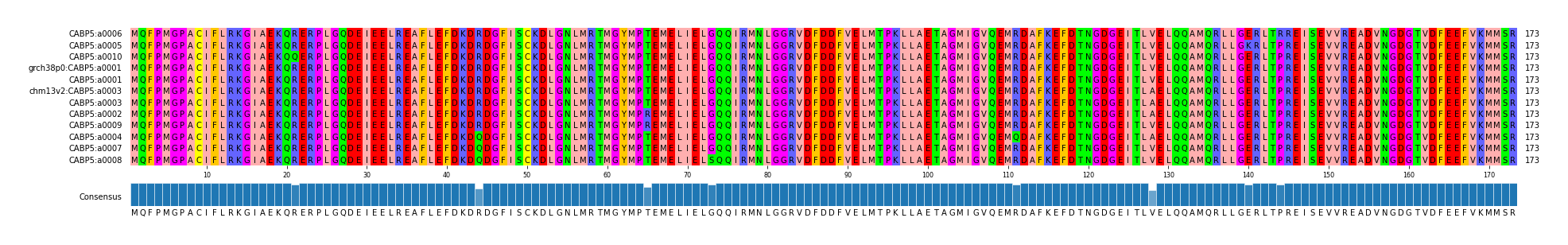 Multiple Alignments (by translate haplotype similarity)