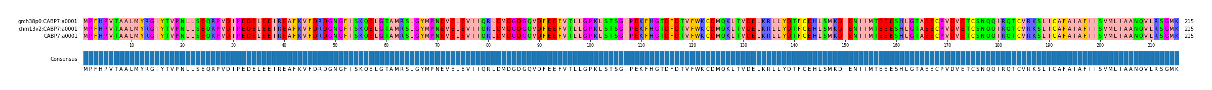 Multiple Alignments (by translate haplotype similarity)