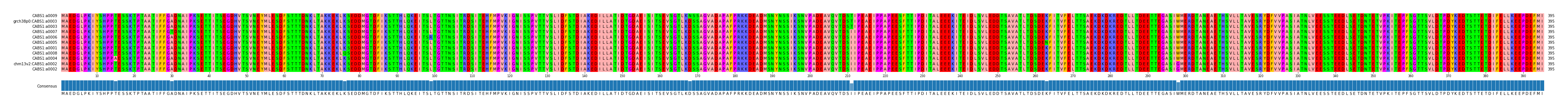Multiple Alignments (by translate haplotype similarity)