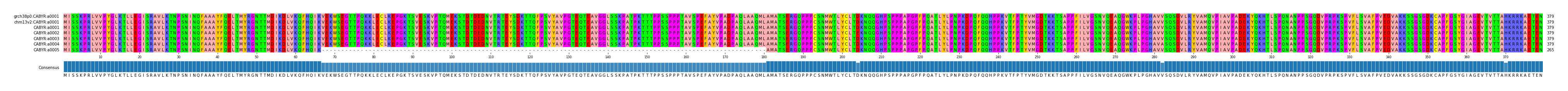 Multiple Alignments (by translate haplotype frequency)