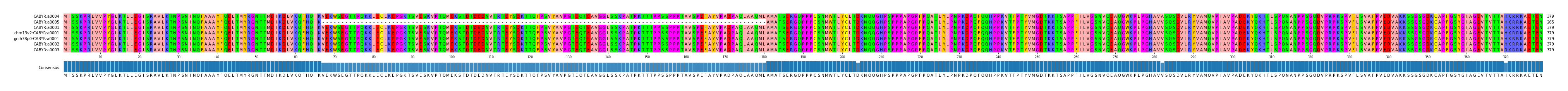 Multiple Alignments (by translate haplotype similarity)