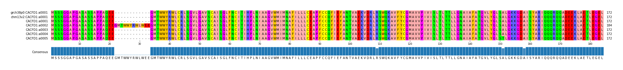 Multiple Alignments (by translate haplotype frequency)