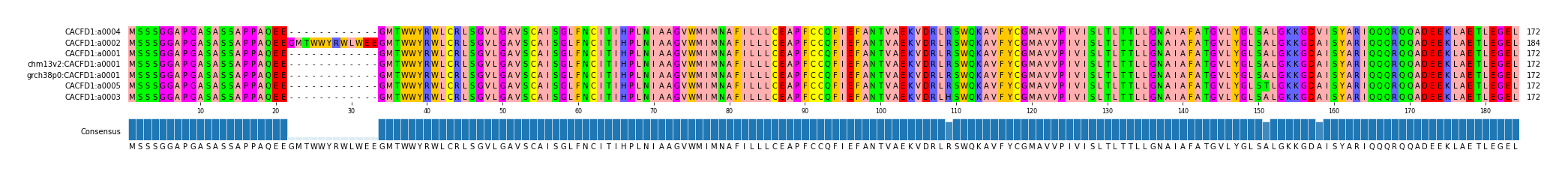 Multiple Alignments (by translate haplotype similarity)