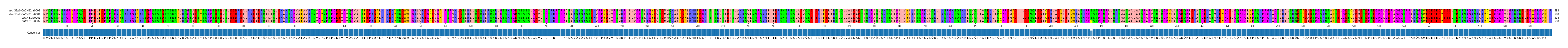 Multiple Alignments (by translate haplotype similarity)